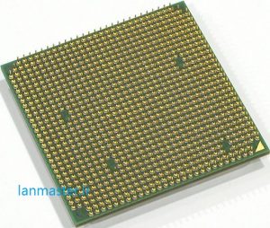 سی پی یو AMD